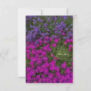 Carte De Correspondance Plante de glace rose & Lavande