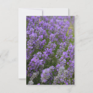 Carte De Correspondance Plantes Lavande Lumière