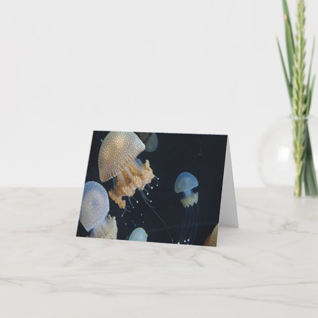 Carte de correspondance pliée (Devant)