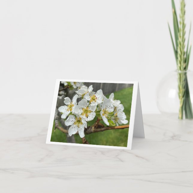 Carte de correspondance pliée (Devant)