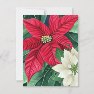 Carte De Correspondance Poinsettia