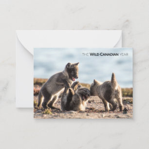 Carte De Correspondance Printemps - Renard arctique