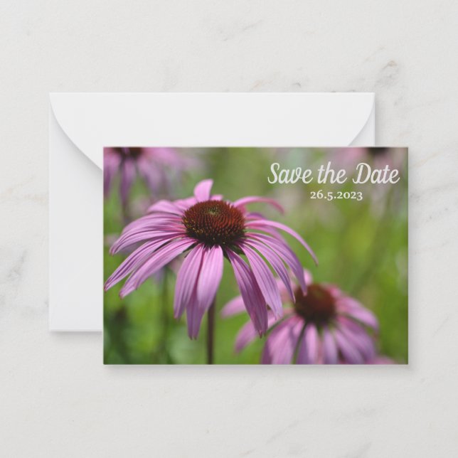 Carte De Correspondance Purple Echinacea Cone Flowers Enregistrer la date (Devant)