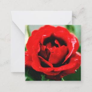 Carte De Correspondance Red Rose Love