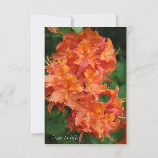 Carte De Correspondance Rhododendron orange (Devant)