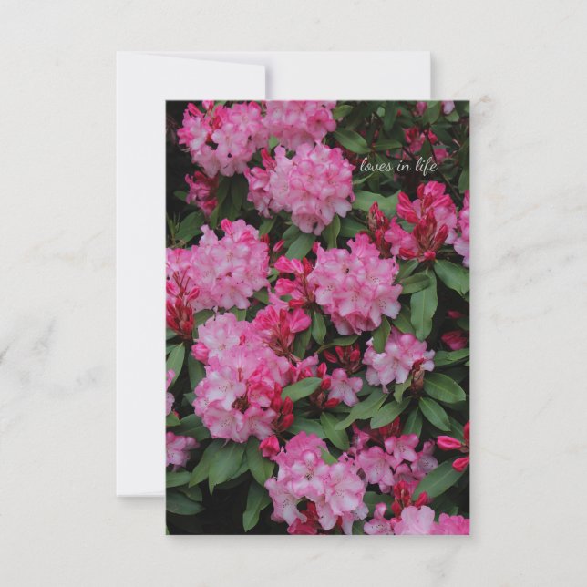 Carte De Correspondance Rhododendron rose (Devant)
