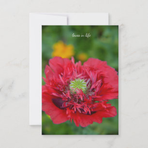 Carte De Correspondance Roffy Rouge