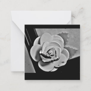 Carte De Correspondance Rose blanche