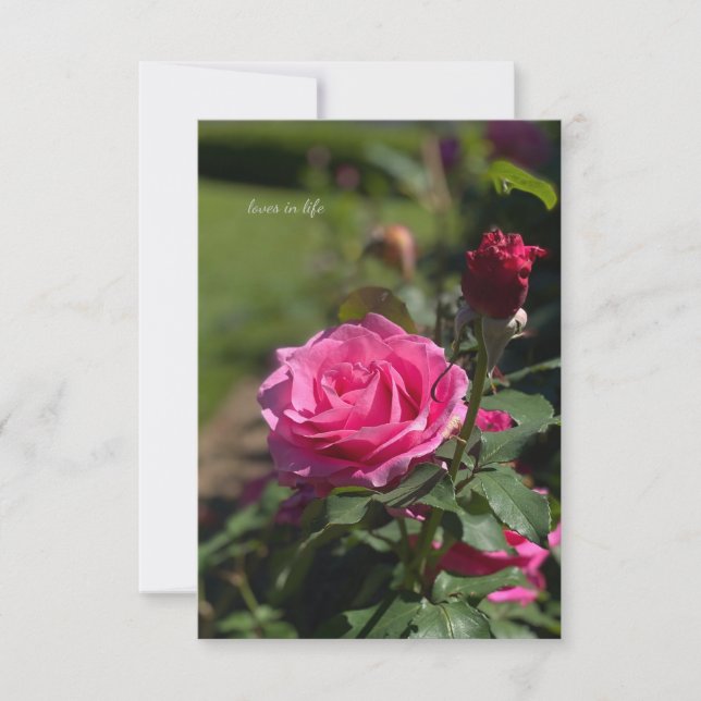 Carte De Correspondance Rose & Bud rose (Devant)