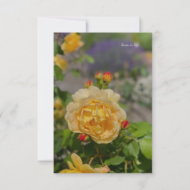 Carte De Correspondance Rose jaune (Devant)
