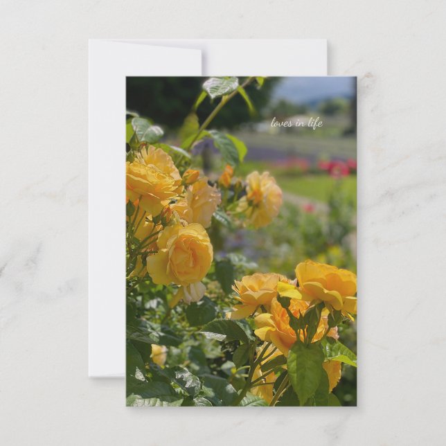 Carte De Correspondance Roses jaunes, Jardin rouge et pourpre (Devant)