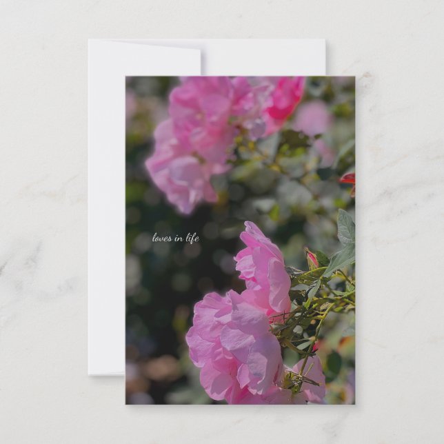 Carte De Correspondance Roses roses roses douces (Devant)