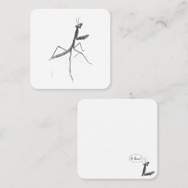 Carte De Correspondance Salut ! Mante religieuse (Devant / Derrière)