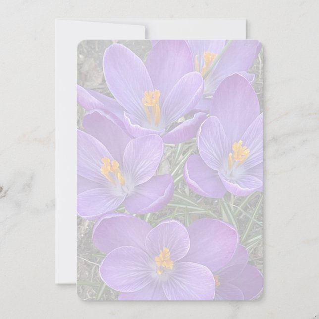 Carte De Correspondance Signe de printemps (Devant)