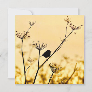 Carte De Correspondance Silhouette d'une mésange perché sur fond de lumièr