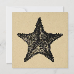 Carte De Correspondance Starfish Illustration Ocean Art Vintage Starfish