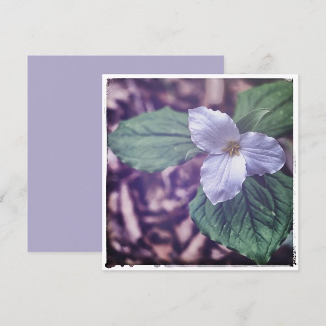 Carte De Correspondance Style Sprint Trillium Autochrome (Devant / Derrière)