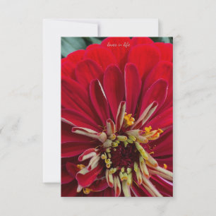 Carte De Correspondance Sweet Zinnia