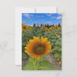 Carte De Correspondance Terrain de tournesol et abeille