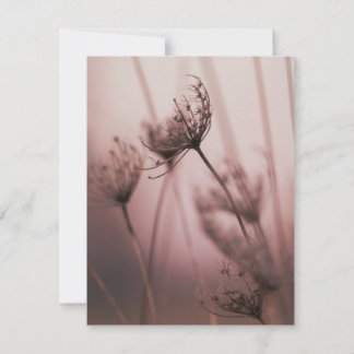 Carte De Correspondance Têtes de graines de fleurs sauvages en lumière dou