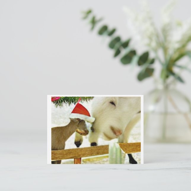 Carte De Correspondance The goats of Christmas past Card (Debout devant)