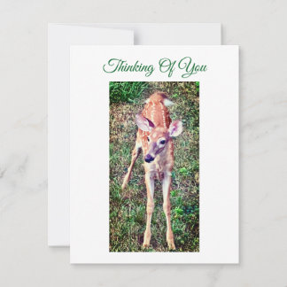 Carte De Correspondance Thinking Of You Flat Note Card With Fawn