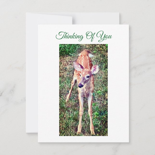 Carte De Correspondance Thinking Of You Flat Note Card With Fawn (Devant)