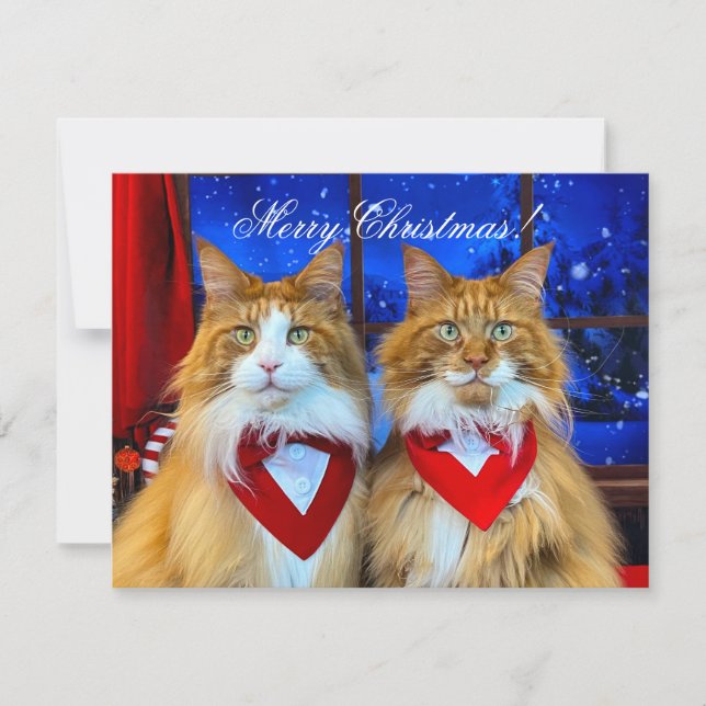 Carte De Correspondance Tony et Teddy Christmas Card (Devant)