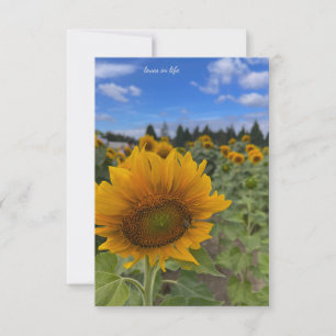 Carte De Correspondance Tournesol
