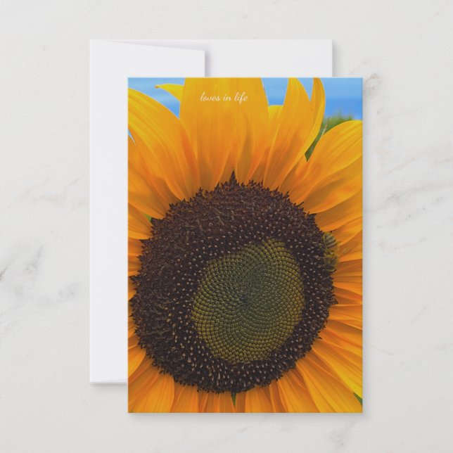Carte De Correspondance Tournesol, abeille et ciel (Devant)