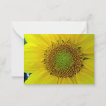 Tournesol et graines, Spirale, Nombre d'or