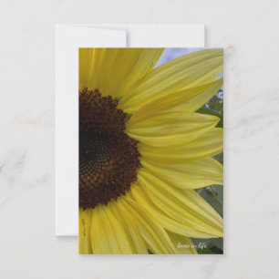 Carte De Correspondance Tournesol jaune clair