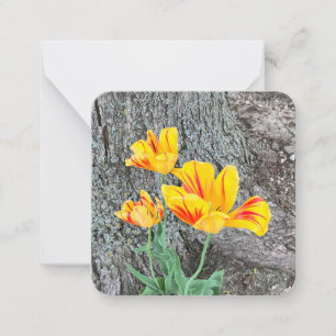 Carte De Correspondance Trois Tulipes Jaunes Sequel / Plat