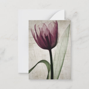 Carte De Correspondance Tulipe vintage aux rayons X