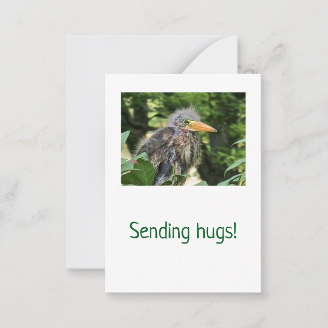 Carte De Correspondance Un héron vert (Devant)
