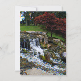 Carte De Correspondance Une petite cascade