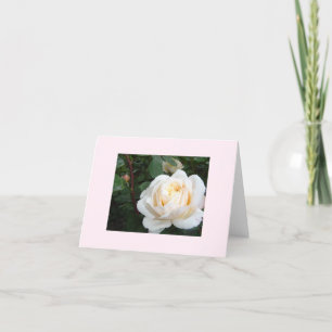 Carte de correspondance vierge Pearl Rose