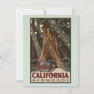 Carte De Correspondance Vintage California Redwoods Travel