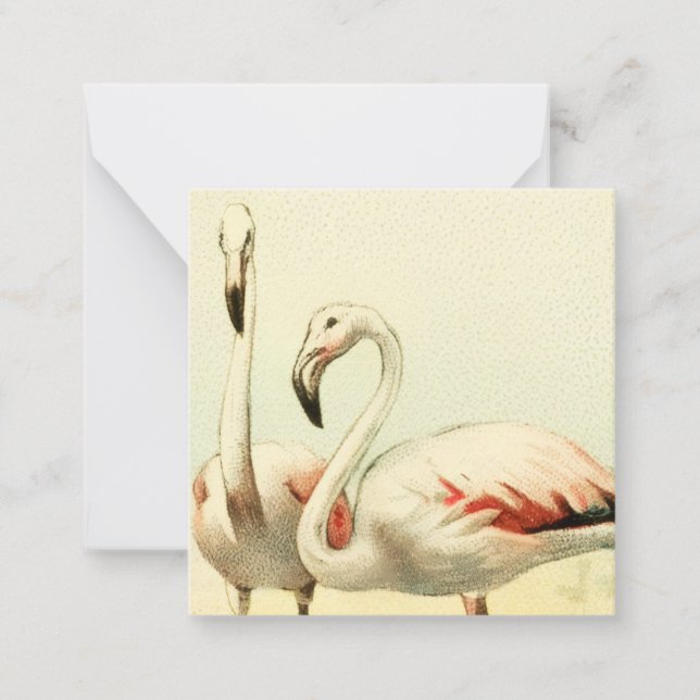 Carte De Correspondance Vintage Flamingo (Devant)