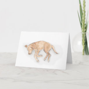 Carte de couchage Labrador