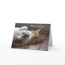 Carte de couchage pour chat mignon