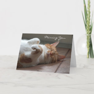 Carte de couchage pour chat mignon