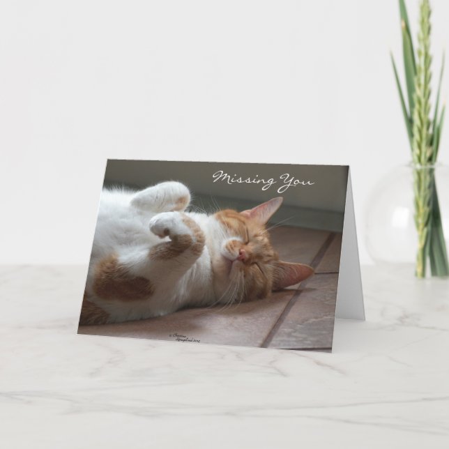 Carte de couchage pour chat mignon (Devant)