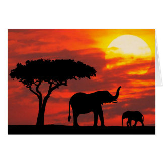 Carte de coucher du soleil