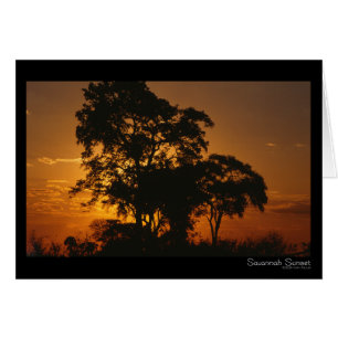 Carte de coucher du soleil de la savane