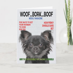 Carte de couverture du magazine Chihuahua Parody