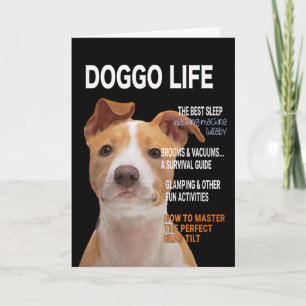 Carte de couverture du magazine Pitbull Parody