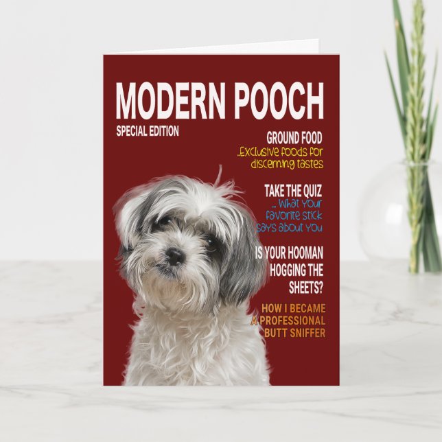 Carte de couverture Shih Tzu Parody Magazine (Devant)