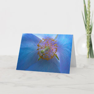 Carte de crapaud bleu himalayen
