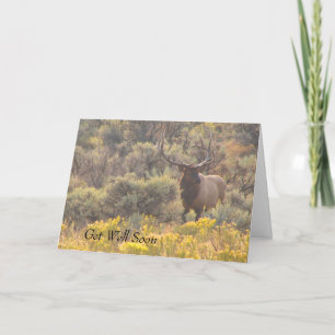 Carte de crédit Autumn Bull Elk Custom